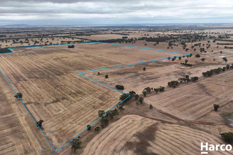 CA 103 Bothes Road, Lower Norton VIC 3401