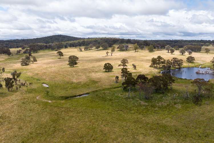 Fourth view of Homely ruralOther listing, 91 Gill Road, Walcha NSW 2354