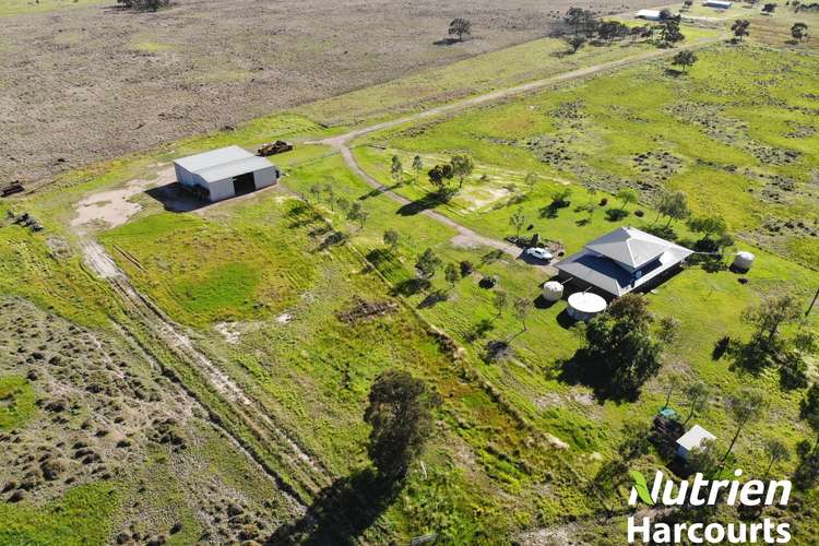 Main view of Homely livestock listing, 438 Hoadleys Road, Hannaford QLD 4406