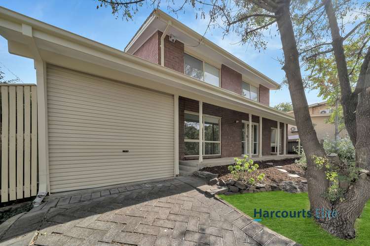 Main view of Homely house listing, 42 Bradey Road, Windsor Gardens SA 5087