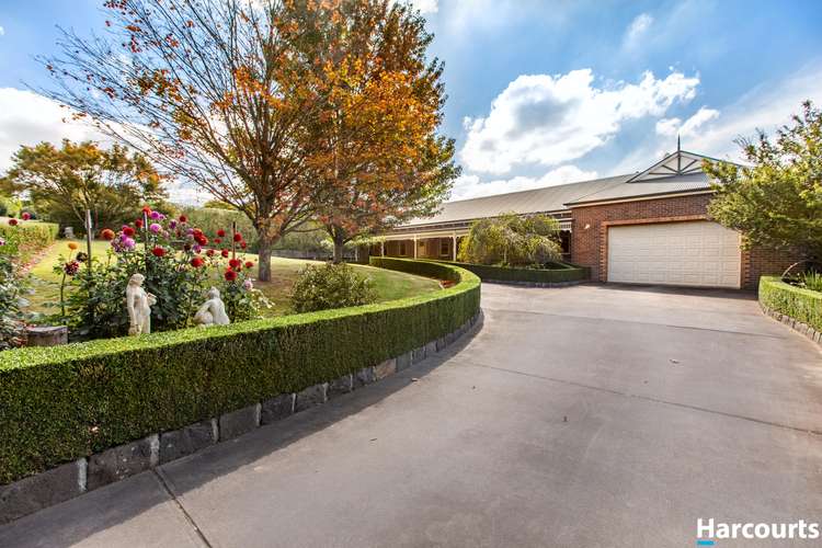 Main view of Homely house listing, 53 Martin Court, Warragul VIC 3820