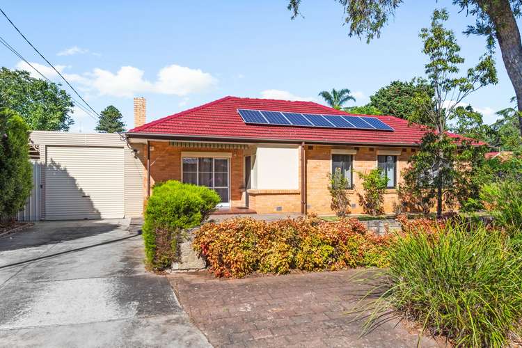 Main view of Homely house listing, 16 Laurel Avenue, Campbelltown SA 5074