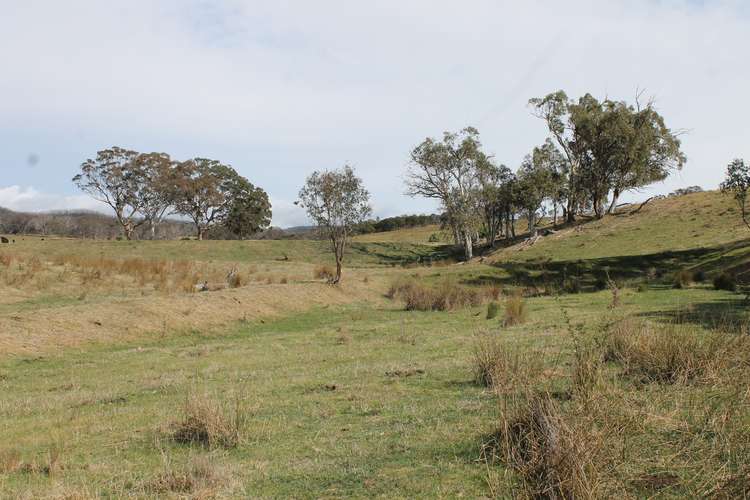 Lot 202 Little Bombay Road, Braidwood NSW 2622