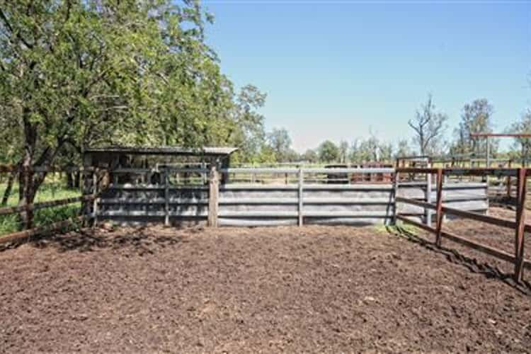 Fifth view of Homely livestock listing, Address available on request