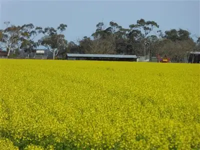 583 Fairbank Road, Keith SA 5267