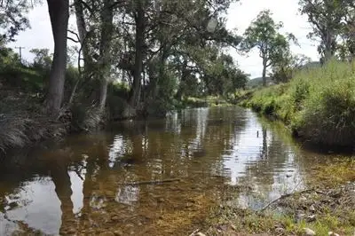 95 Rouchel Gap Rd, "Wendaroo", McCullys Gap via