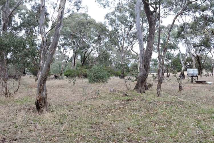 Fifth view of Homely ruralOther listing, Lot 1 Military Bypass Road, Armstrong VIC 3377