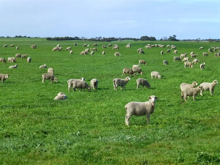 3979 Emu Flat Road, Keith SA 5267