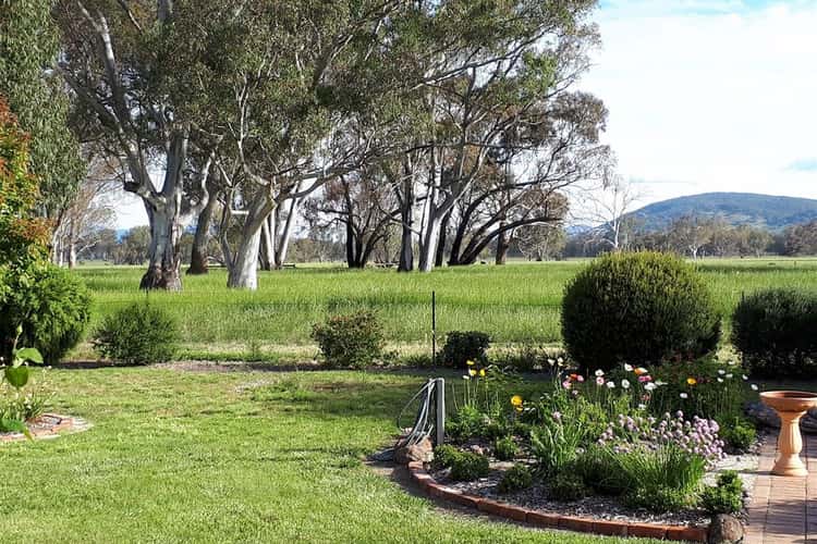 Fifth view of Homely horticulture listing, 85 Dobson Road, Benalla VIC 3672