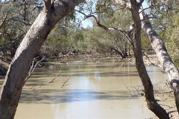 " Nidgery Downs", Nyngan NSW 2825