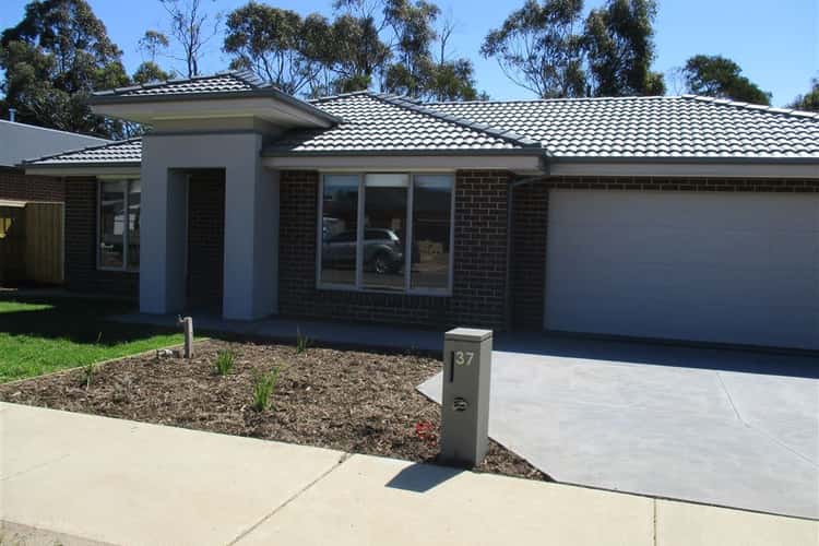 Main view of Homely house listing, 37 Pepper Crescent, Drouin VIC 3818