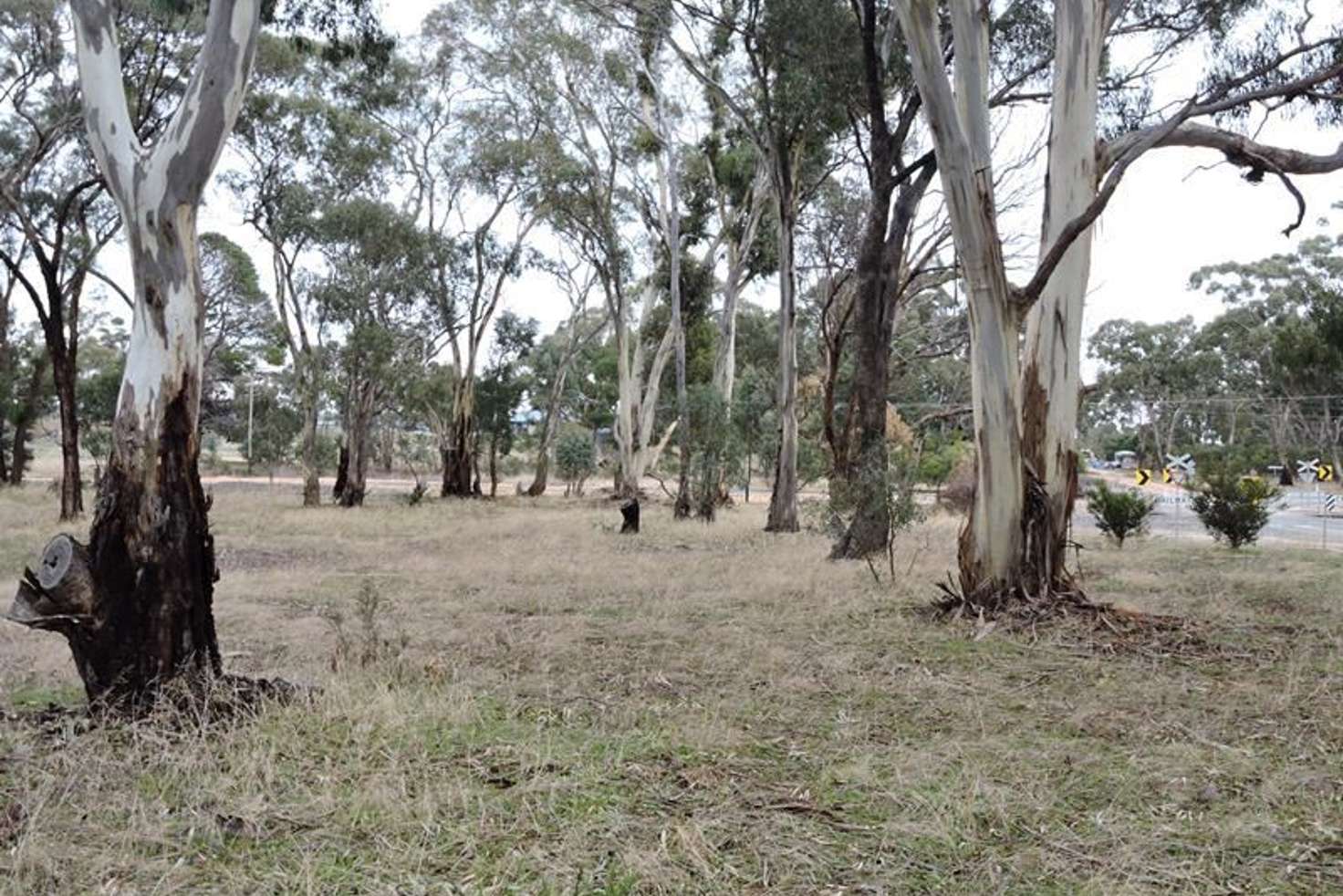 Main view of Homely ruralOther listing, Lot 1 Military Bypass Road, Armstrong VIC 3377