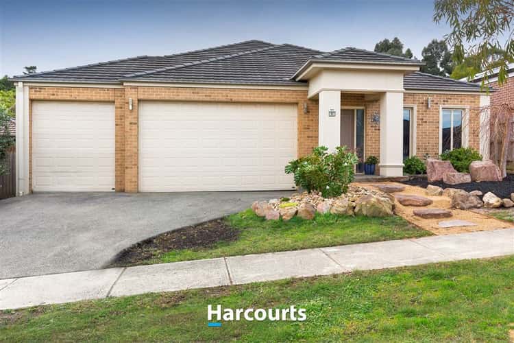 Main view of Homely house listing, 53 Cambridge Drive, Berwick VIC 3806