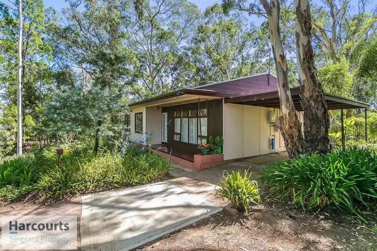 53 Bowen Road, Tea Tree Gully SA 5091
