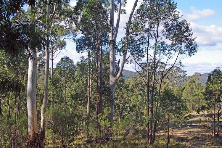 Main view of Homely ruralOther listing, Lot 380 New Station Creek Road, Wyndham NSW 2550