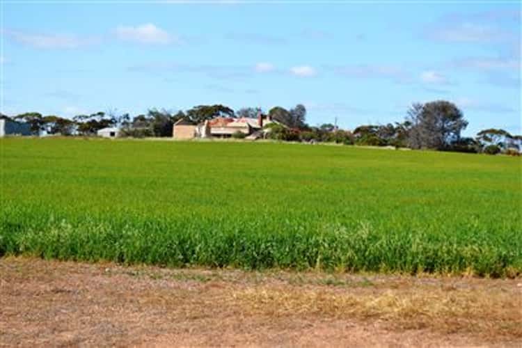 Second view of Homely cropping listing, 272 Pit West Road, Paskeville SA 5552