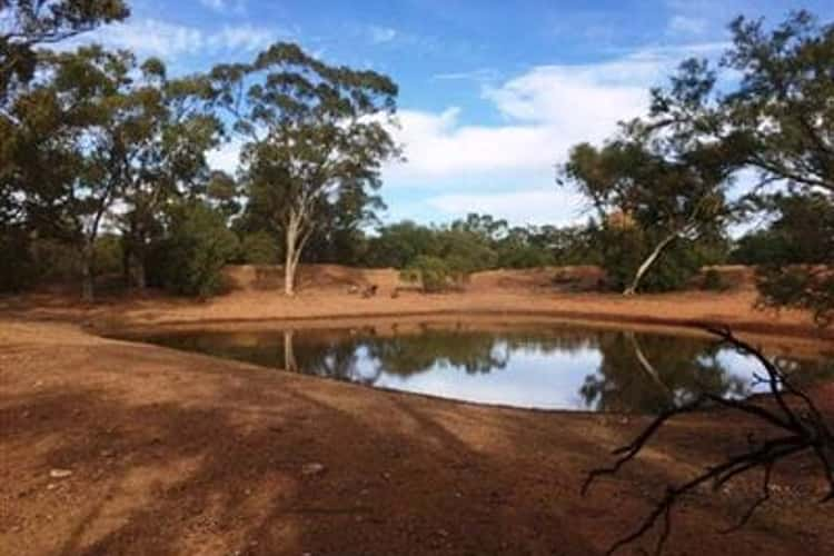 Main view of Homely lifestyle listing, * Back Booroomugga, Cobar NSW 2835