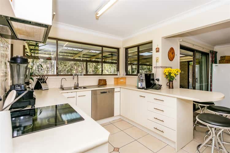 Second view of Homely acreageSemiRural listing, 671 Waterford Tamborine Rd, Buccan QLD 4207