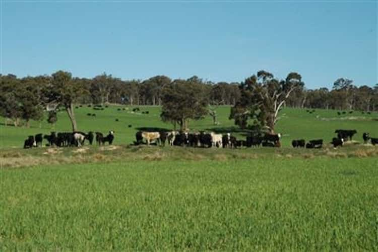 'Kyabra Station', New England Highway, Kentucky NSW 2354