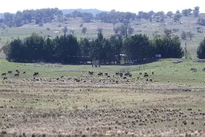 Fourth view of Homely rural property listing, 2039 Peak View Road, Peak View NSW 2630