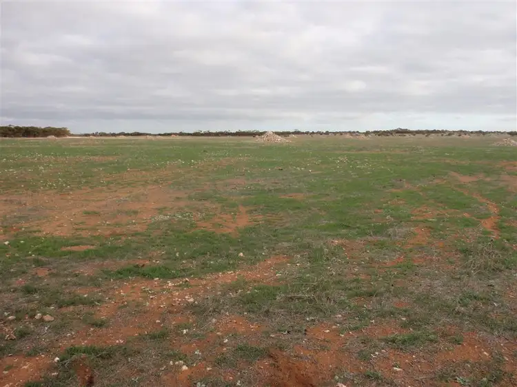 Sixth view of Homely rural property listing, 4186 Pt Kenny Road, Minnipa SA 5654