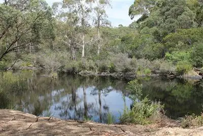 Lot 200 Back Creek Road, Braidwood NSW 2622