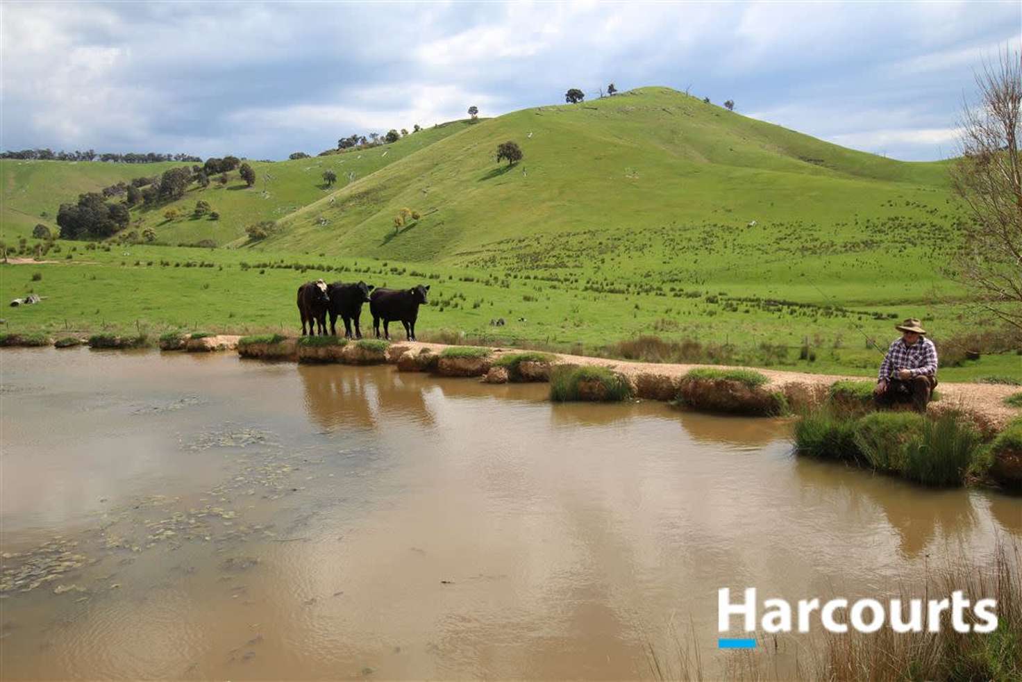 Main view of Homely ruralOther listing, 267 Evans Rd Woodfield, Mansfield VIC 3722