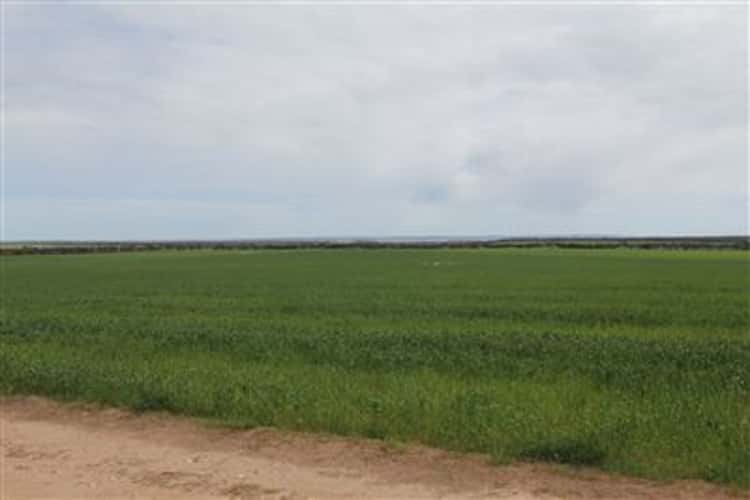 Fourth view of Homely cropping listing, ' Moolgerie', Streaky Bay SA 5680