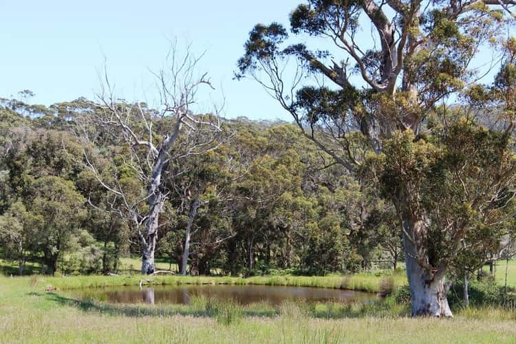 Third view of Homely ruralOther listing, 168 Tennesse Road South, Albany WA 6330