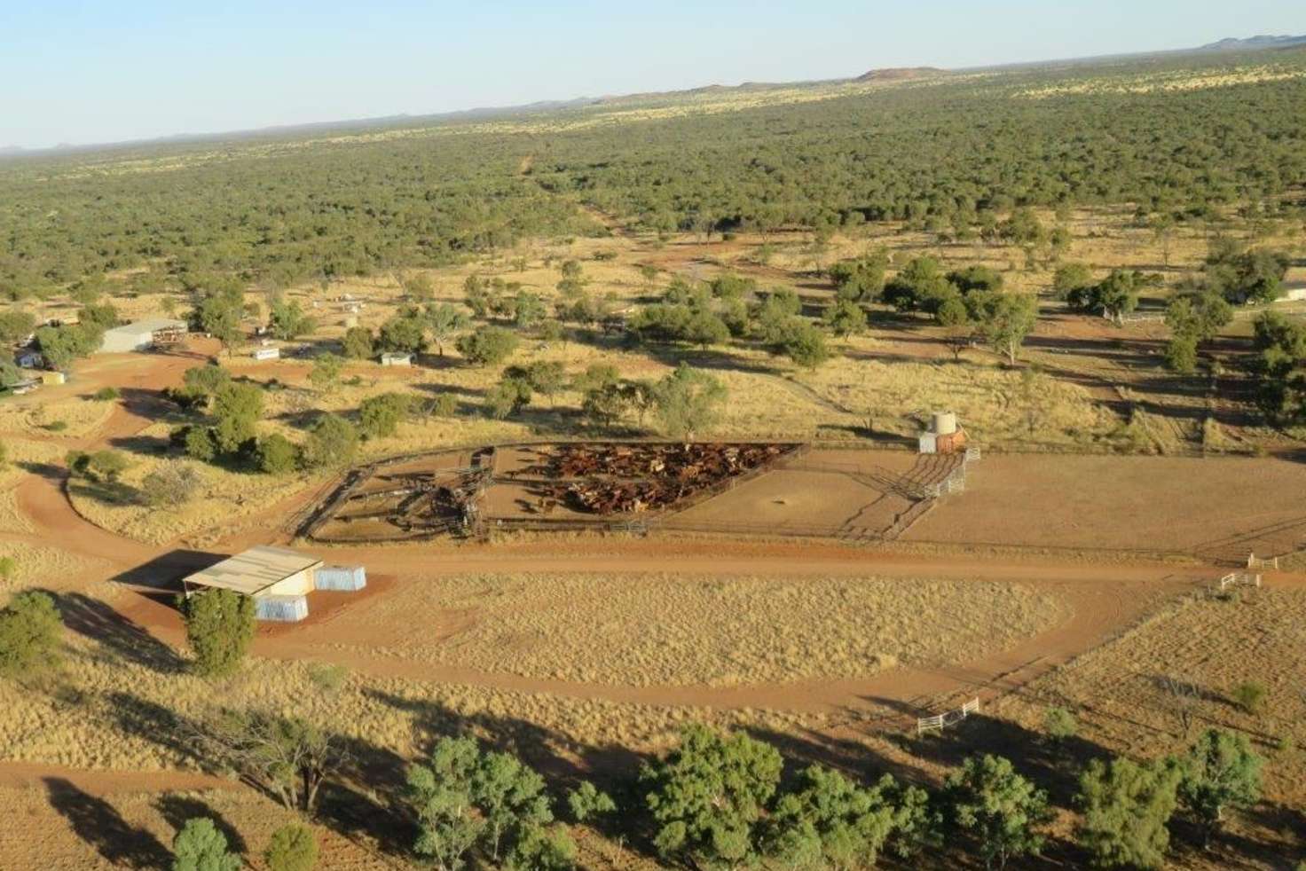 Main view of Homely cropping listing, " Coniston Station", Alice Springs NT 870