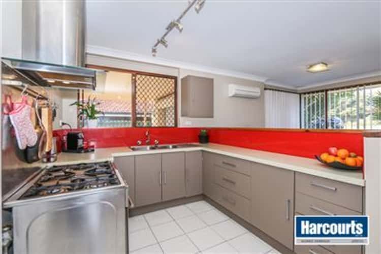 Seventh view of Homely house listing, 165 Camberwarra Drive, Craigie WA 6025