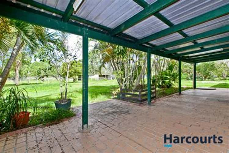 Fifth view of Homely acreageSemiRural listing, 11 Kookaburra Court, Upper Caboolture QLD 4510