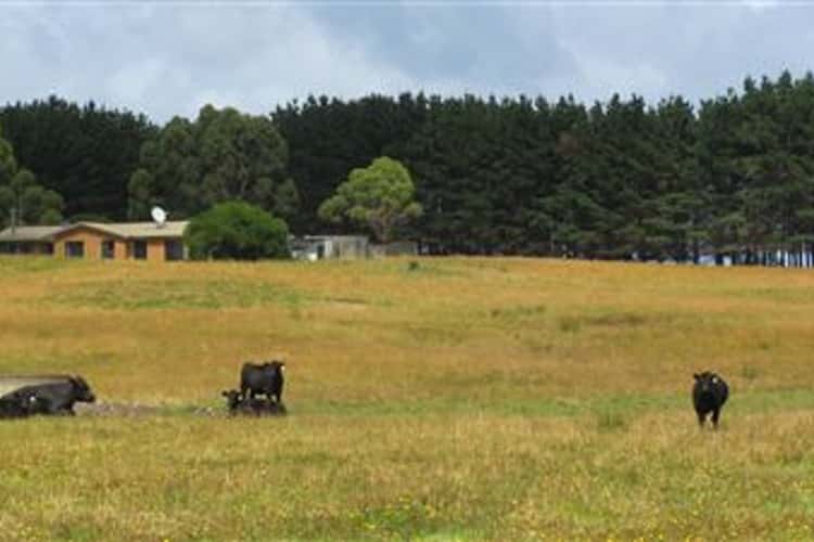 Fourth view of Homely livestock listing, 733 Arthur River Road, Marrawah TAS 7330