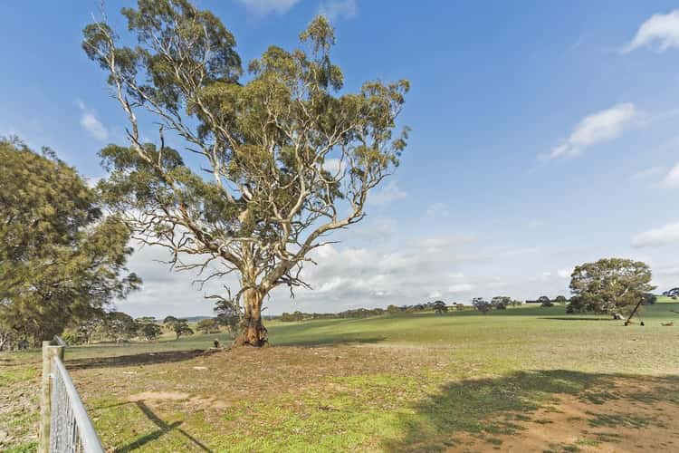 Lot 51 Jutland Road, Springton SA 5235