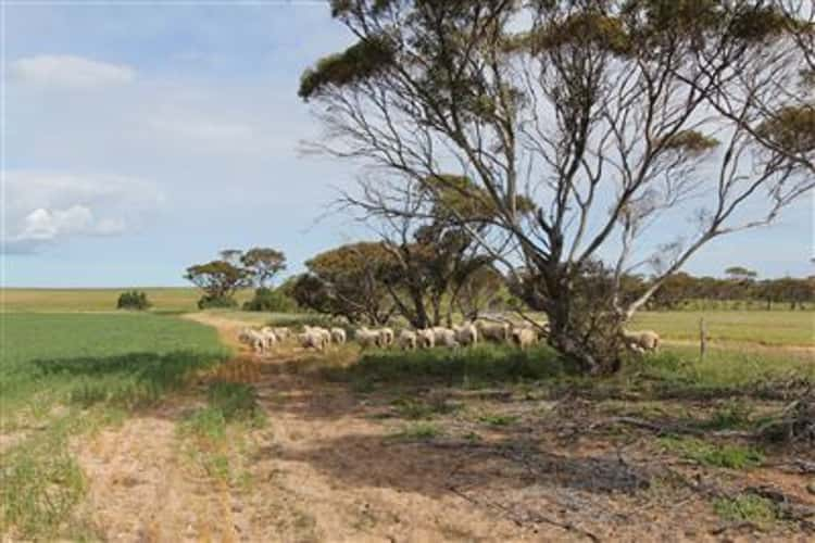 Seventh view of Homely cropping listing, ' Moolgerie', Streaky Bay SA 5680