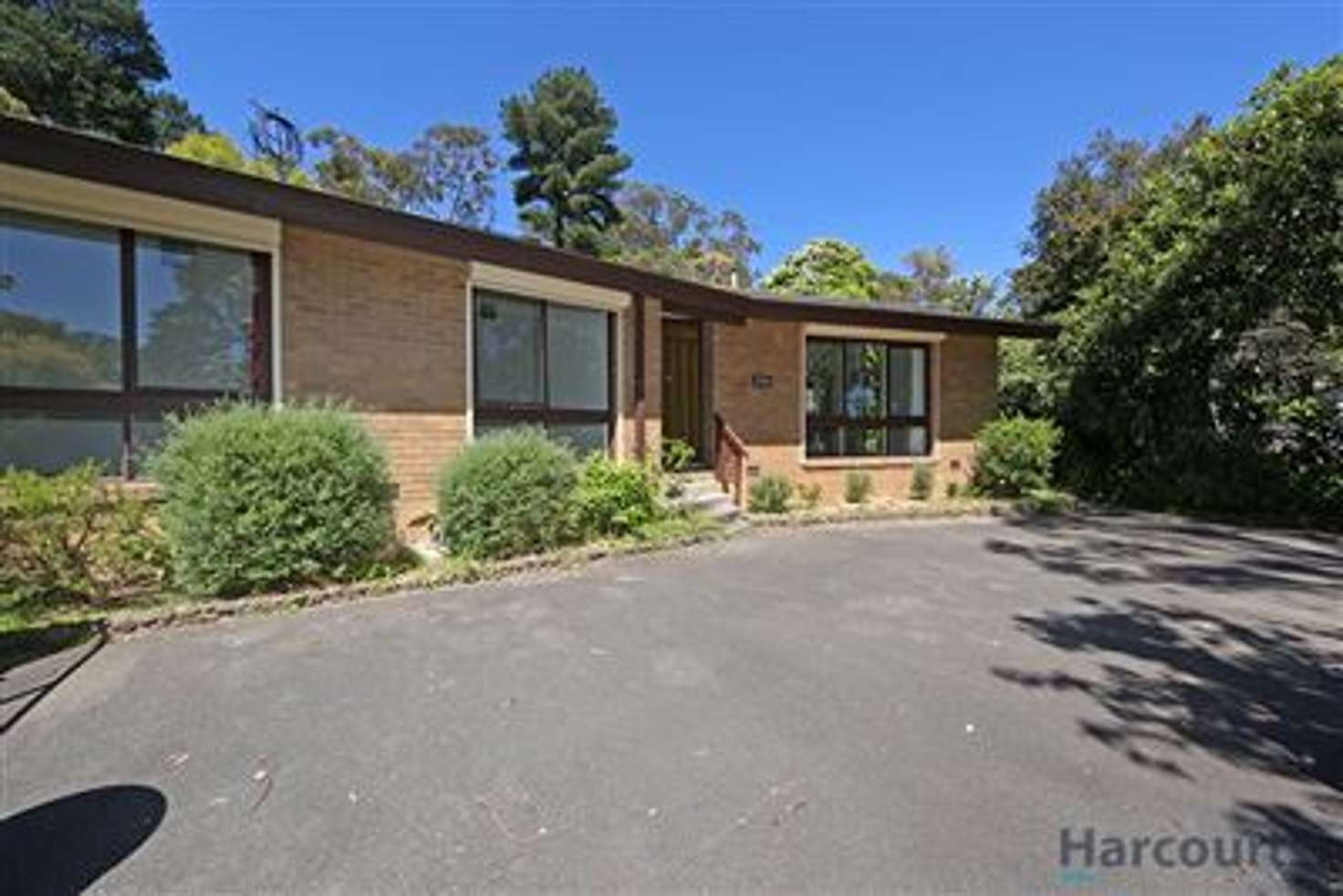 Main view of Homely house listing, 206 Forest Road, Boronia VIC 3155