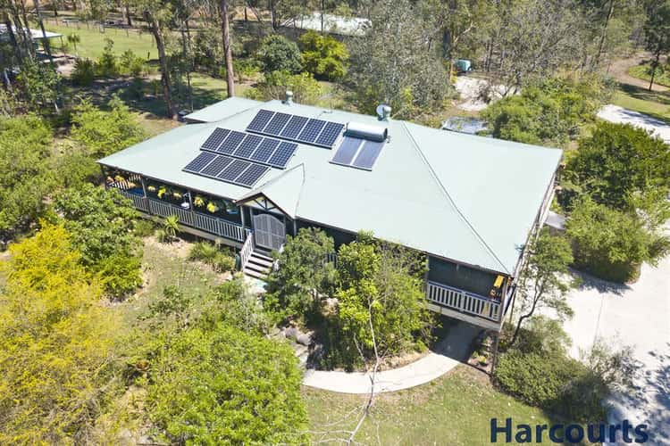 204 Cedar Grove Road, Cedar Grove QLD 4285