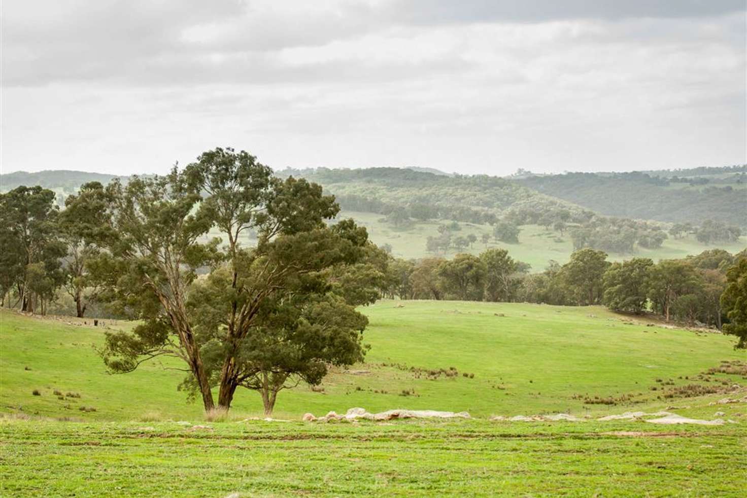 Main view of Homely ruralOther listing, 1940 Upton Road, Avenel VIC 3664