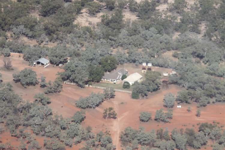 Second view of Homely livestock listing, . Talyealye & Karto, Hungerford QLD 4493