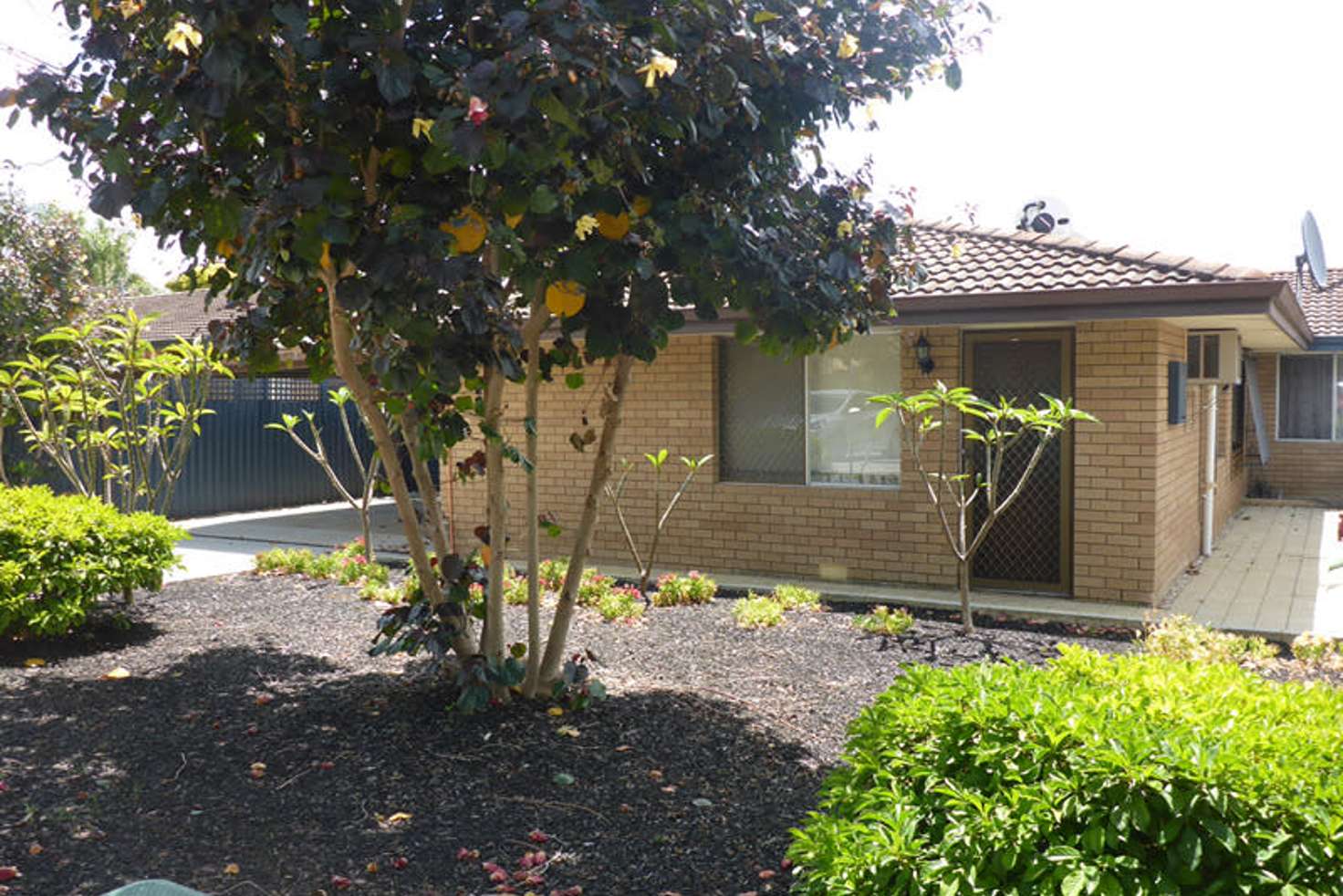 Main view of Homely house listing, 21 Paulett Way, Belmont WA 6104