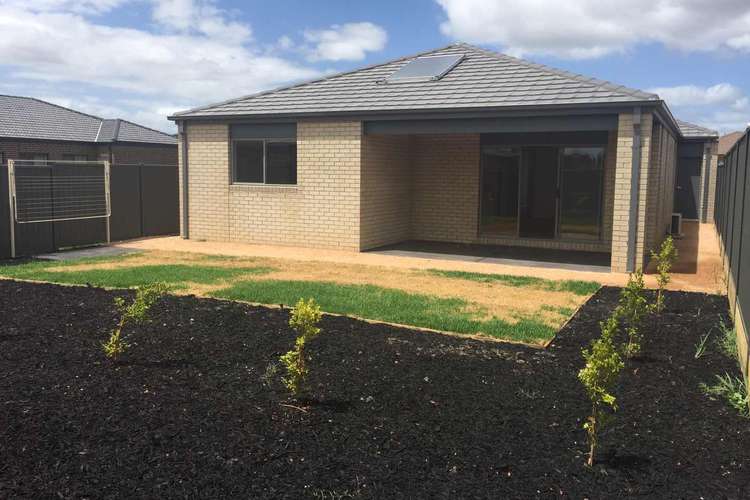 Fifth view of Homely house listing, 3 Biferno Cres, Cranbourne East VIC 3977
