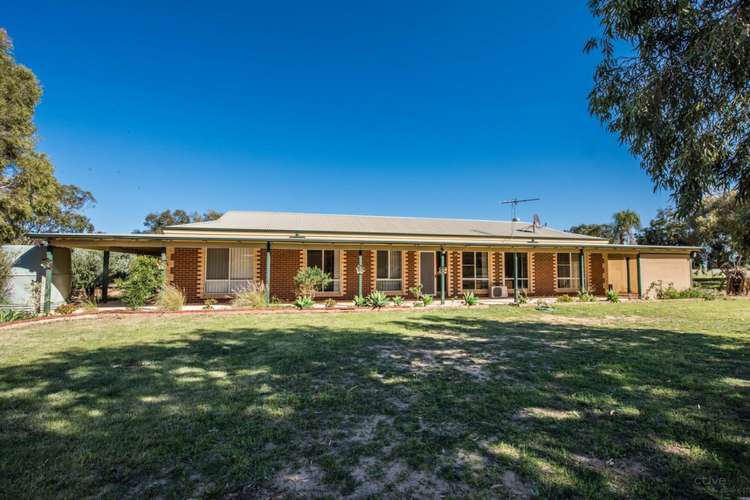 Main view of Homely house listing, 253 Hall Road, Waggrakine WA 6530
