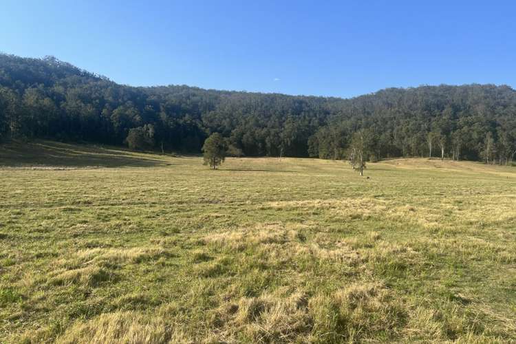 2374 Upper Mongogarie Road, Upper Mongogarie NSW 2470