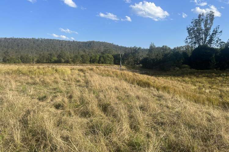 Second view of Homely livestock listing, 2374 Upper Mongogarie Road, Upper Mongogarie NSW 2470