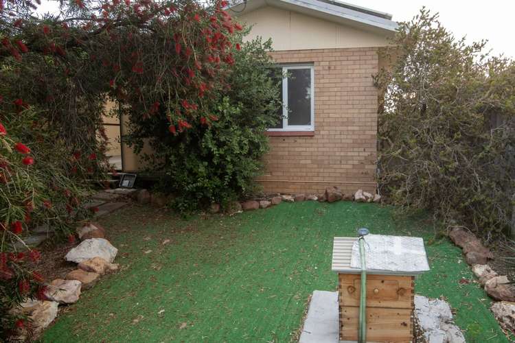 Main view of Homely house listing, 19 Henry Street, Beresford WA 6530