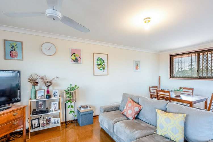 Main view of Homely unit listing, 3/133 George Road, Beresford WA 6530