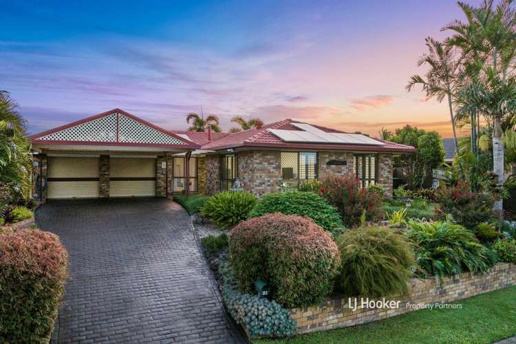 Main view of Homely house listing, 81 Helicia Street, Algester QLD 4115