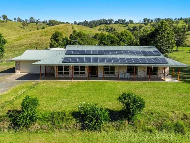 109 Apple Gum Road, West Wiangaree NSW 2474