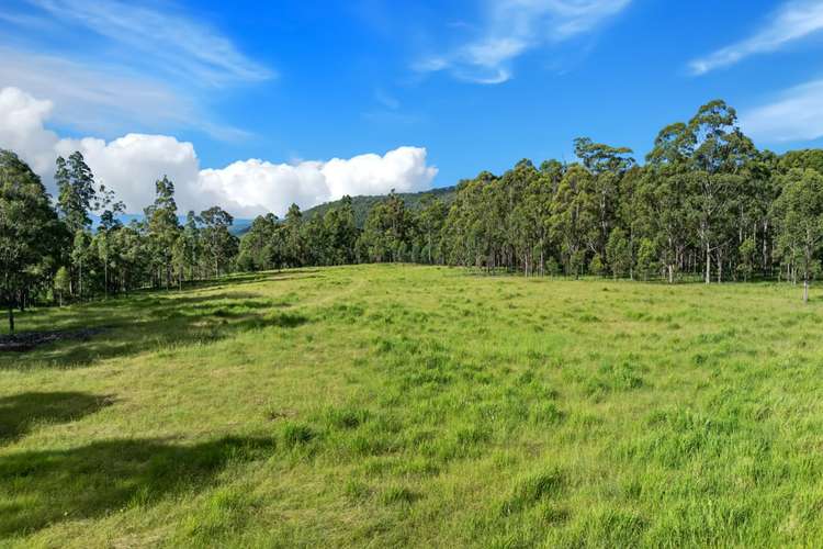 Main view of Homely livestock listing, Lot 62-69 Duck Creek Road, Duck Creek NSW 2469