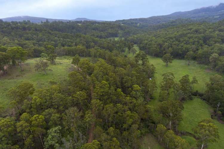 Seventh view of Homely ruralOther listing, 344 Flagstone Road, Legume NSW 2476